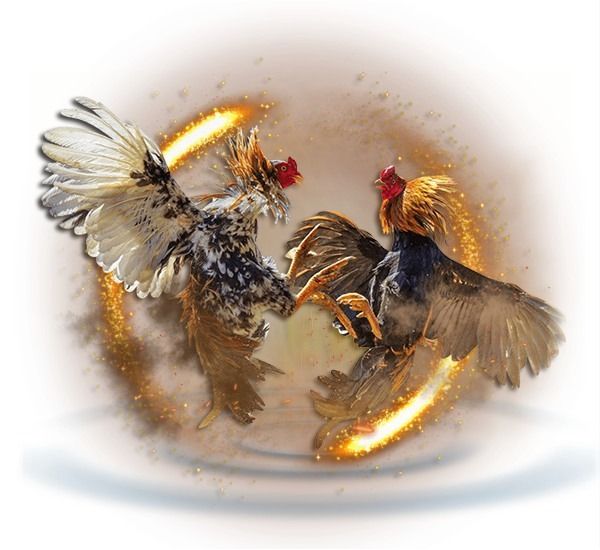UGM138 : LINK LOGIN SITUS SABUNG AYAM ONLINE ARENA FILIPINA BEBAS BLOKIR